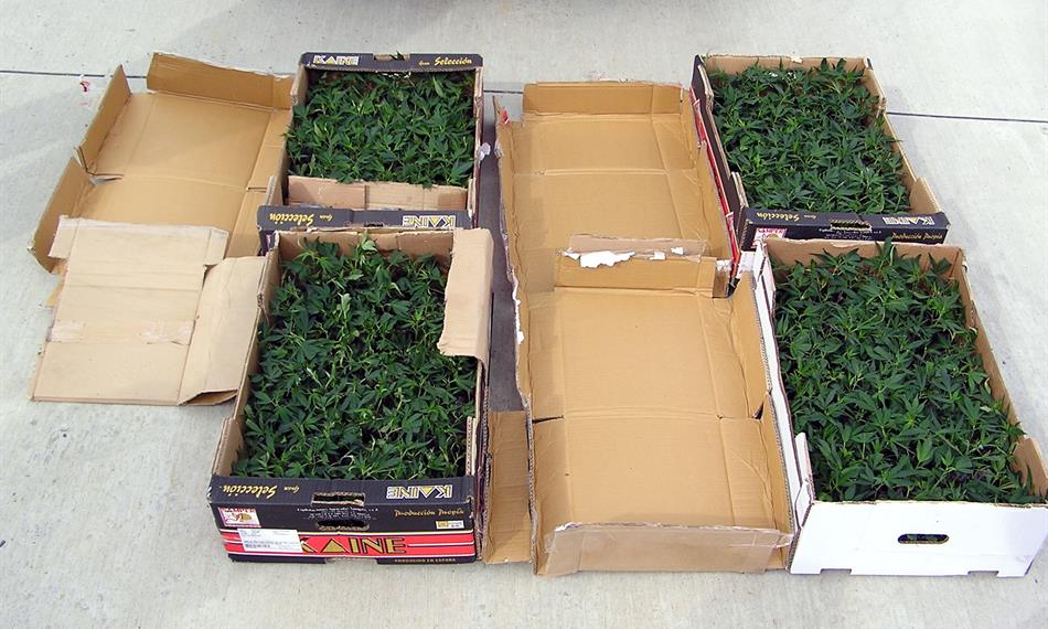 2010-8-26-1245foto 02.JPG